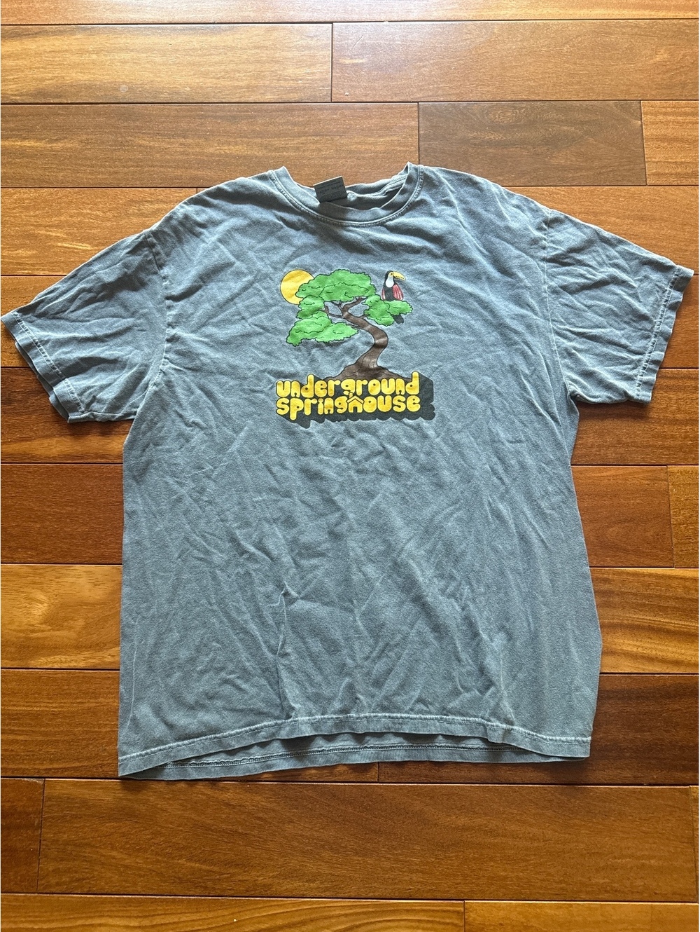 Vintage Underground Springhouse Tee XL